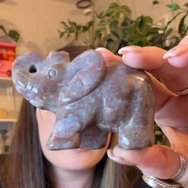 Ocean Jasper Elephant 24d