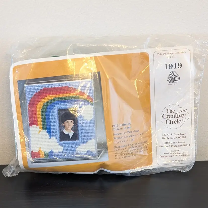 Vintage Creative Circle 1919 Rainbow Needlepoint Picture Frame Kit by Diane Sage