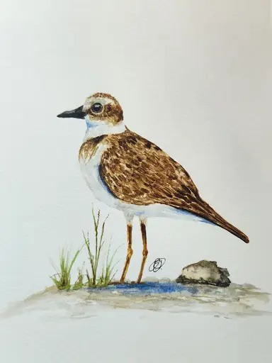 You Asked For It? You Got It! Original Signed Artwork By James Powers FREE Shipping