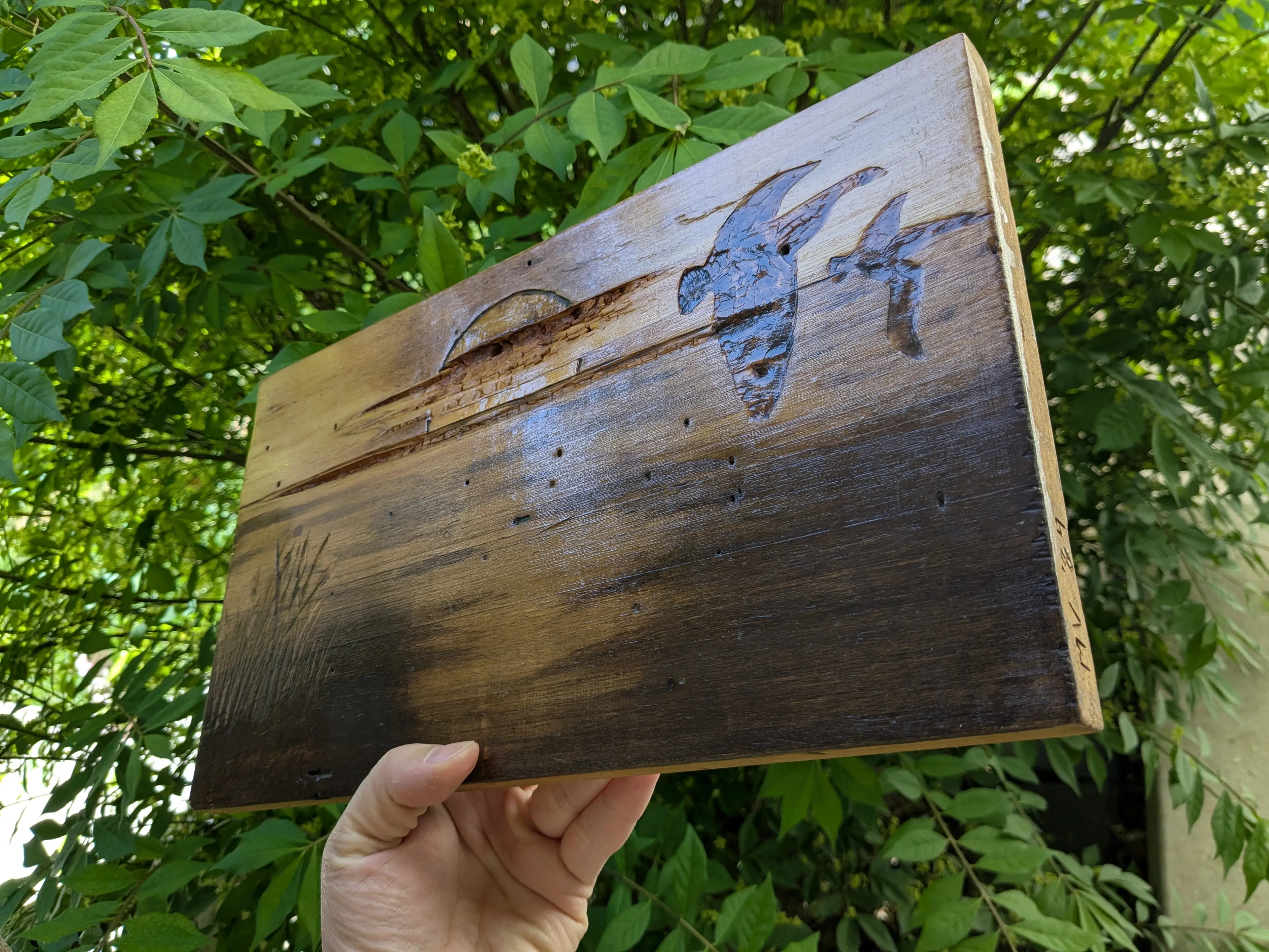 Image 4 of 10