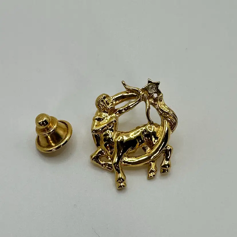A206 - Avon Sagittarius Centaur Pin