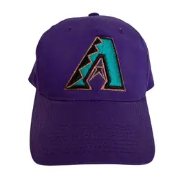 Vintage Arizona Diamondbacks MLB Purple Embroidered Snapback by Outdoor Cap