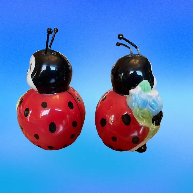 #01 VTG Salt & Pepper Ladybug Shakers