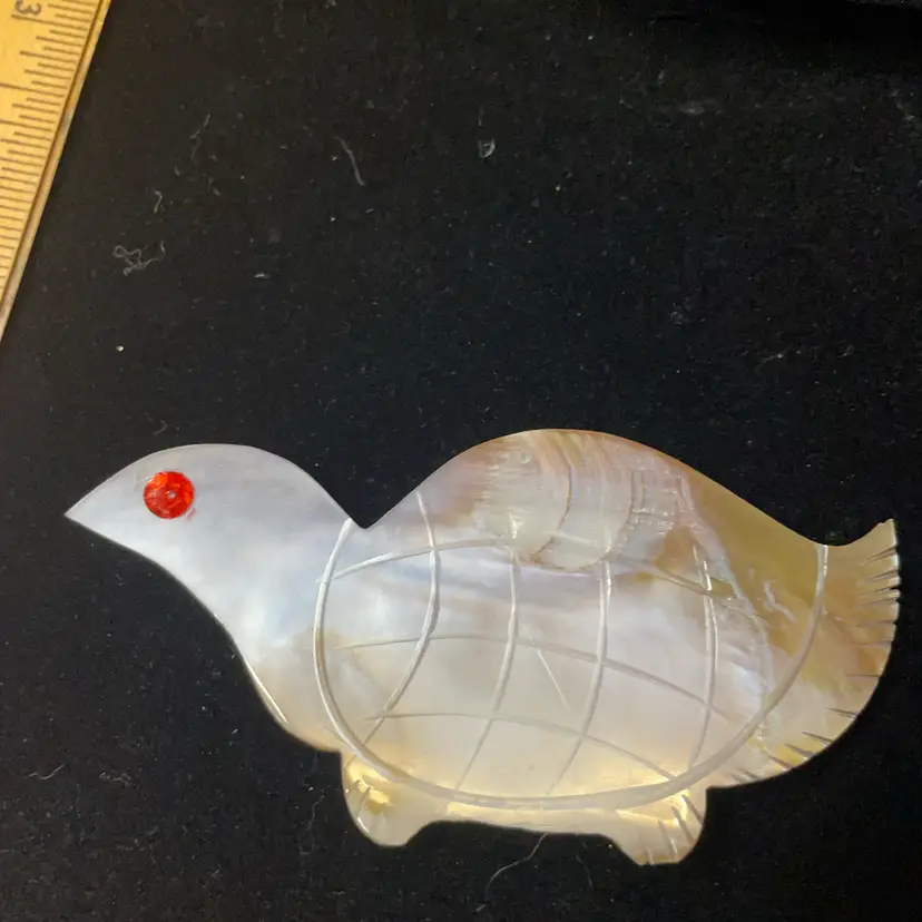 Abalone Shell Turtle 4”