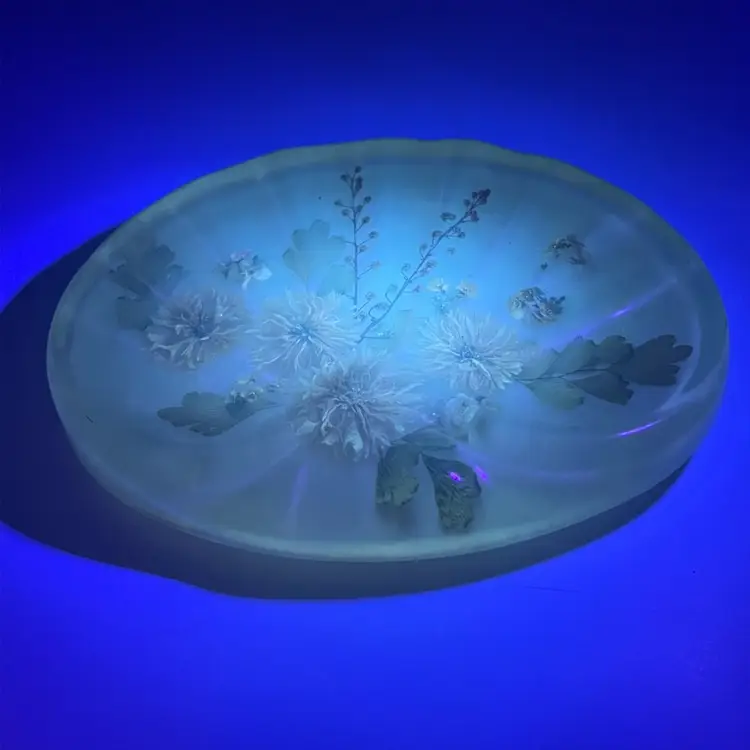 Vintage Lucite Soap Trinket Dish Catch All Clam Shell Dried Florals UV Glow