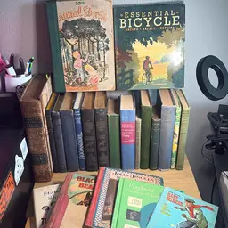 Lot Of 22 Vintage Books Of Assorted Categories And Conditions