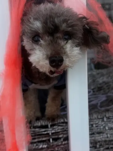 Matt & Maci Labor Day Sale!