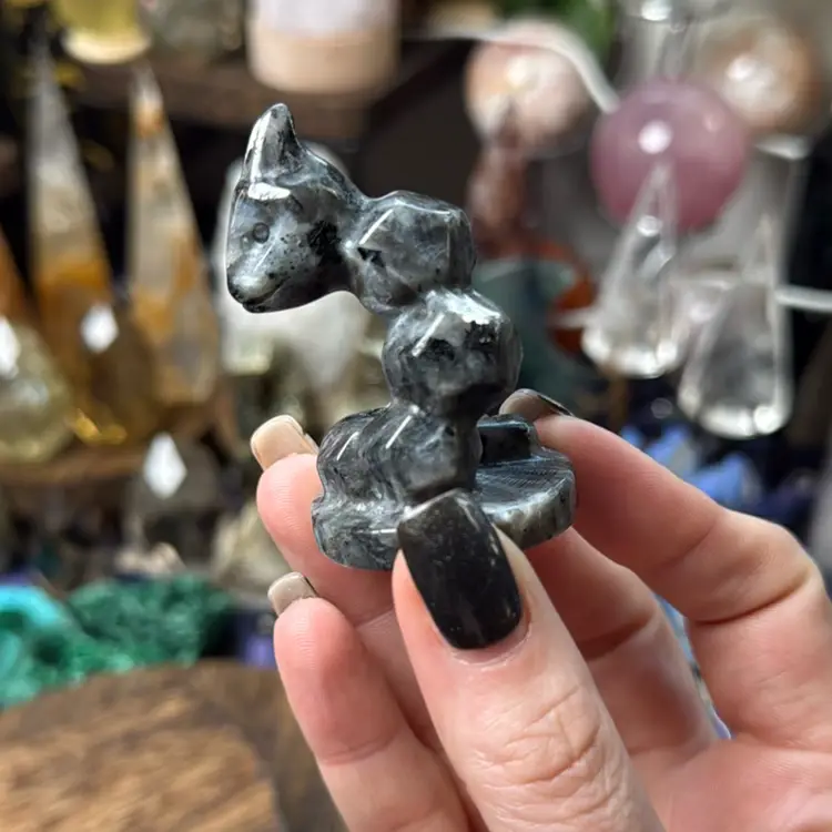 Ónix Pokémon Larvikite 22b