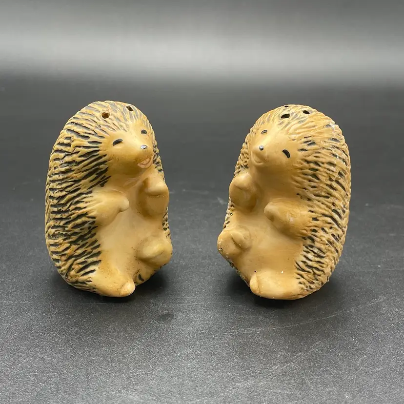 Set of 2 Ceramic Hedgehog Salt and Pepper Shakers Serving Kitchenware