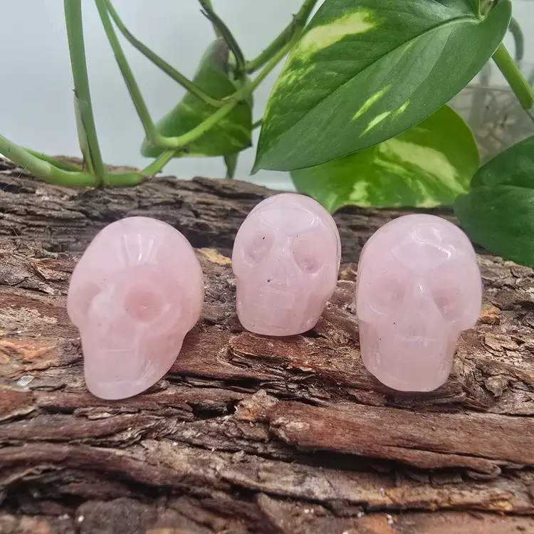 Rose Quartz Skull from Madagascar ~ Random Pick ~ Polished Crystal Carvings
