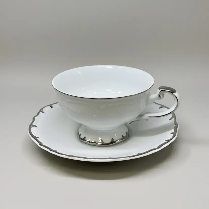 Vintage Bristol Fine China Tea Cup Saucer Set Nativity S-3213 Japan Platinum Trim