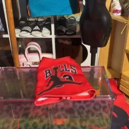 Bulls Jordan
