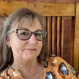 colleen_cookies4vintage