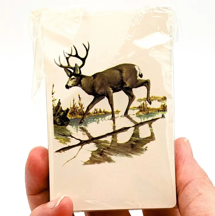 Buck 4 Point Deer Cards A-Bear Taxidermy in Elgin, IL Bernard F Quintiliani