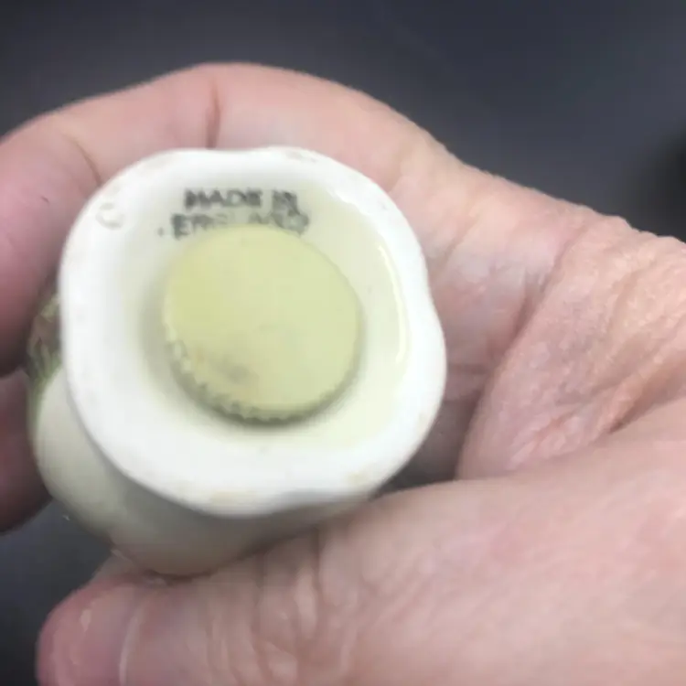 Vintage Niagra Falls Made in England Ceramic Salt and Pepper Shaker Souvenir