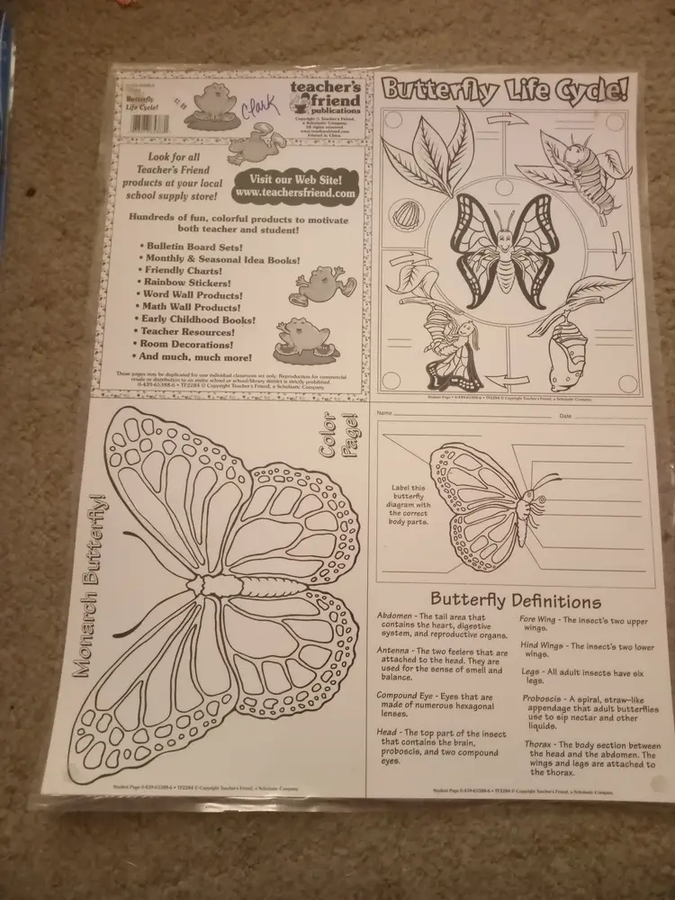 Butterfly Life Cycle! Educational posters