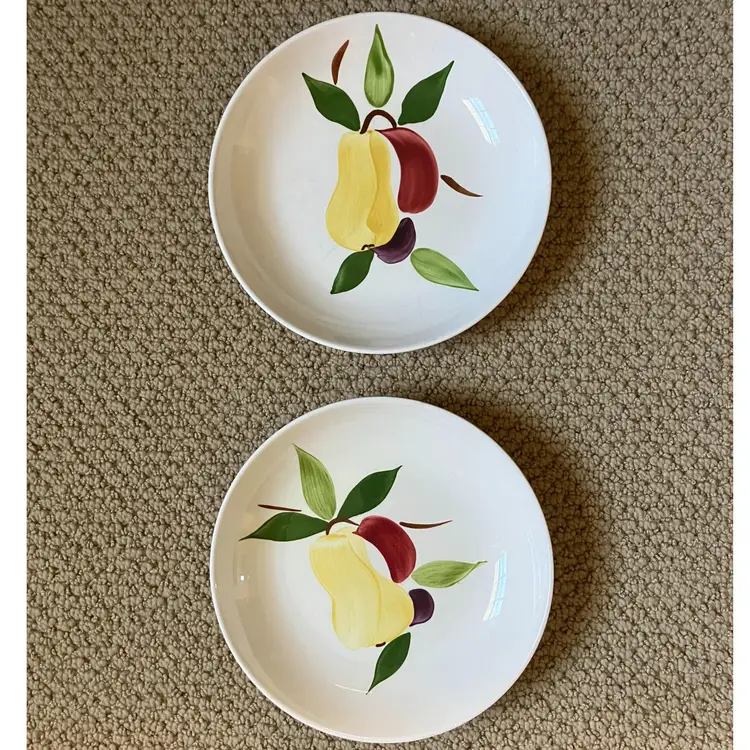 Set of 2 vintage Stetson Rio Coupe Shallow Bowls with hand painted fruit