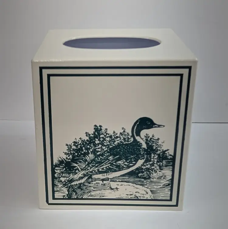 Vintage Duck Tissue Box Cover Plastic Green Image on Cream Grandmacore Cabin Decor