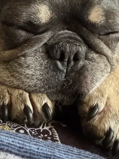 Wake Up! New Weekly Finds Redo 🎉🎉🌸🌸