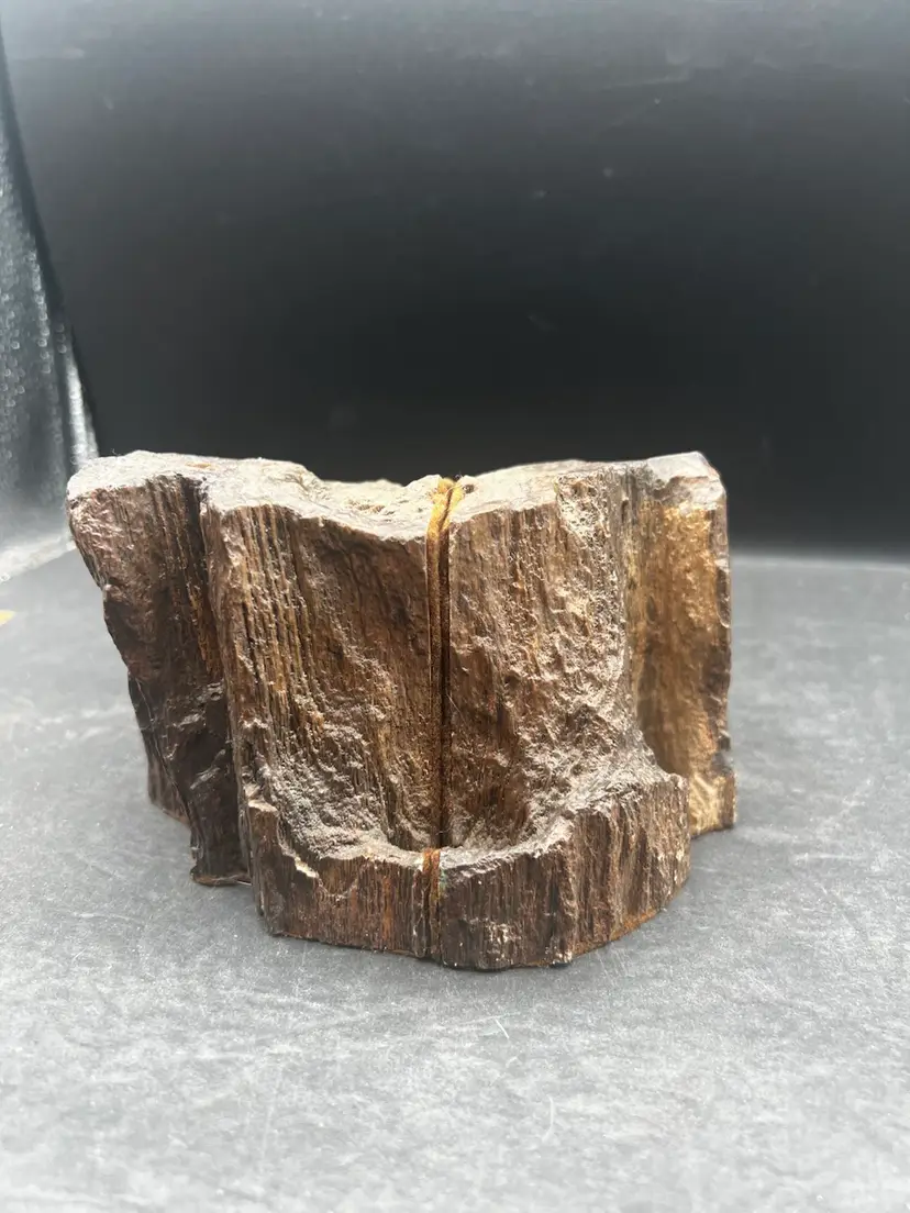 #457B Beautiful Vintage Pair Of Petrified Wood Bookends, Fossil