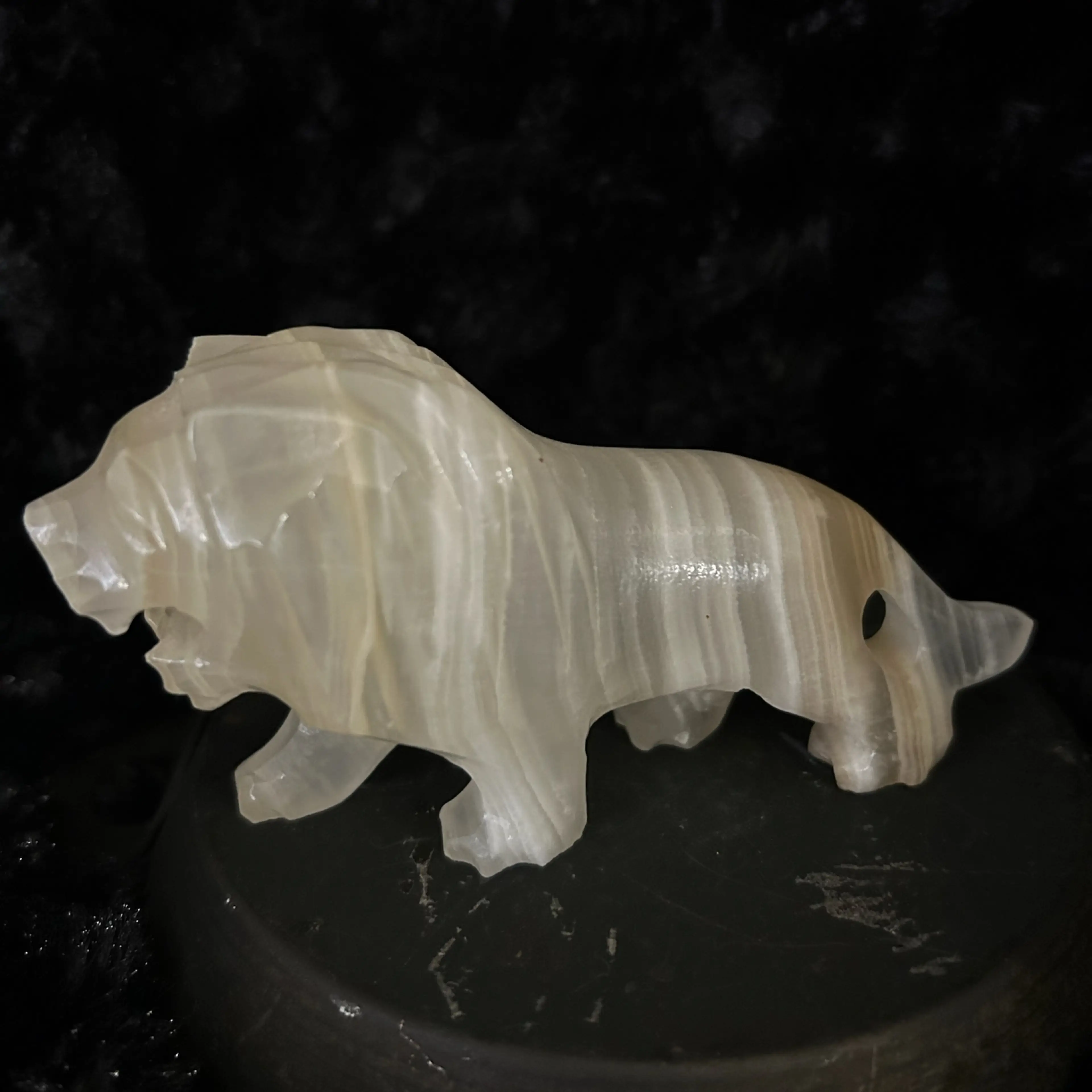 Image 5 of 6