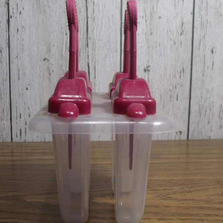 Popsicle Maker Ice Pop Molds Frozen Dessert Tool Set With Sticks 4 pc