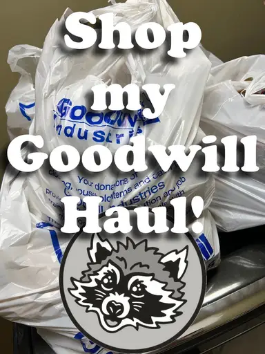 🍋 Shop My Goodwill Haul!! Amazing Haul Come Seee