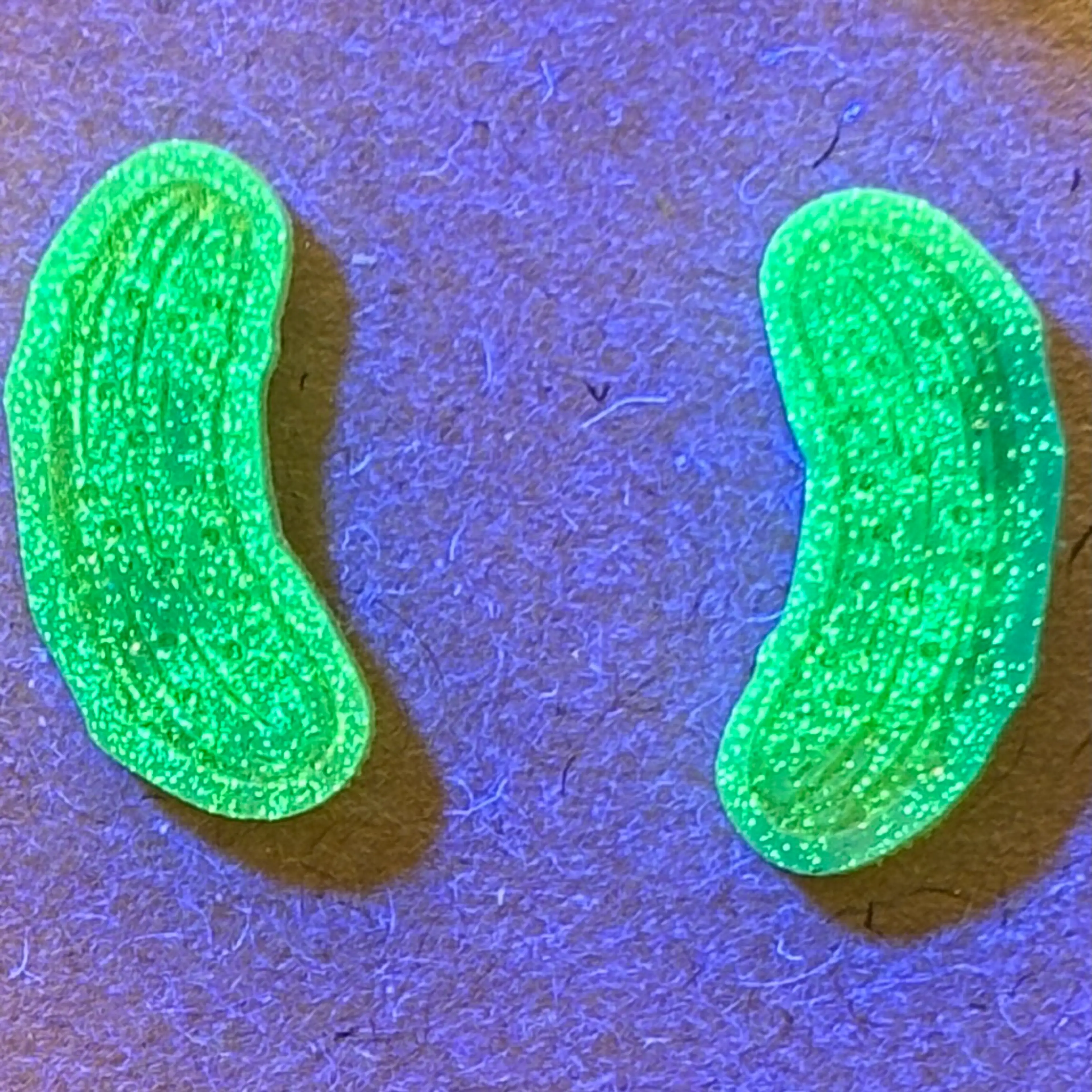 Image 2 of 4