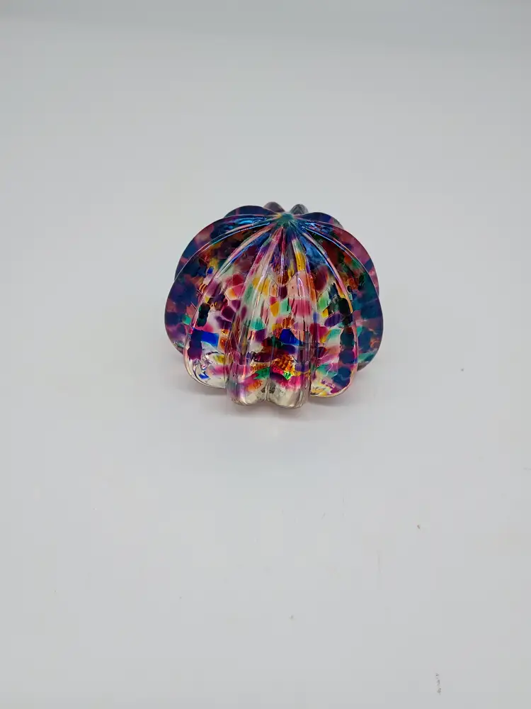 Robert Held Signed Art Glass Sea Urchin Confetti Rainbow Paperweight RARE Color