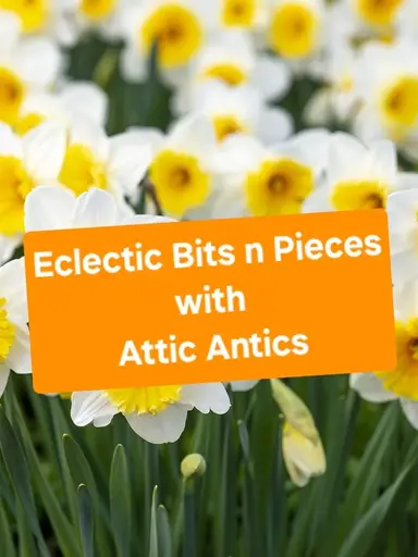 Eclectic Bits n Pieces! Something For Everyone 