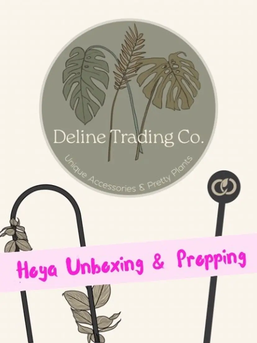 Livestream thumbnail