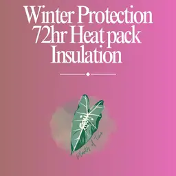 Standard insulation + 72hr Heat pack - Winter Shipping Protection Add Ons