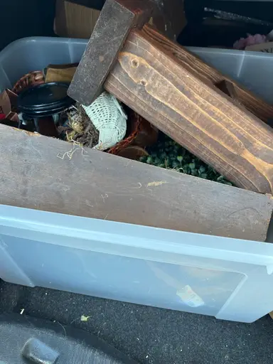 Bins Haul!!