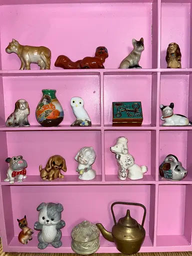 Meg’s Minis 🥳 Yay For Minis!!