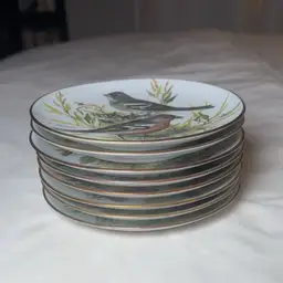 Set Of 8 1986 World Wildlife Bird Plates Ursula Band  Songbirds - ALL DIFFERENT