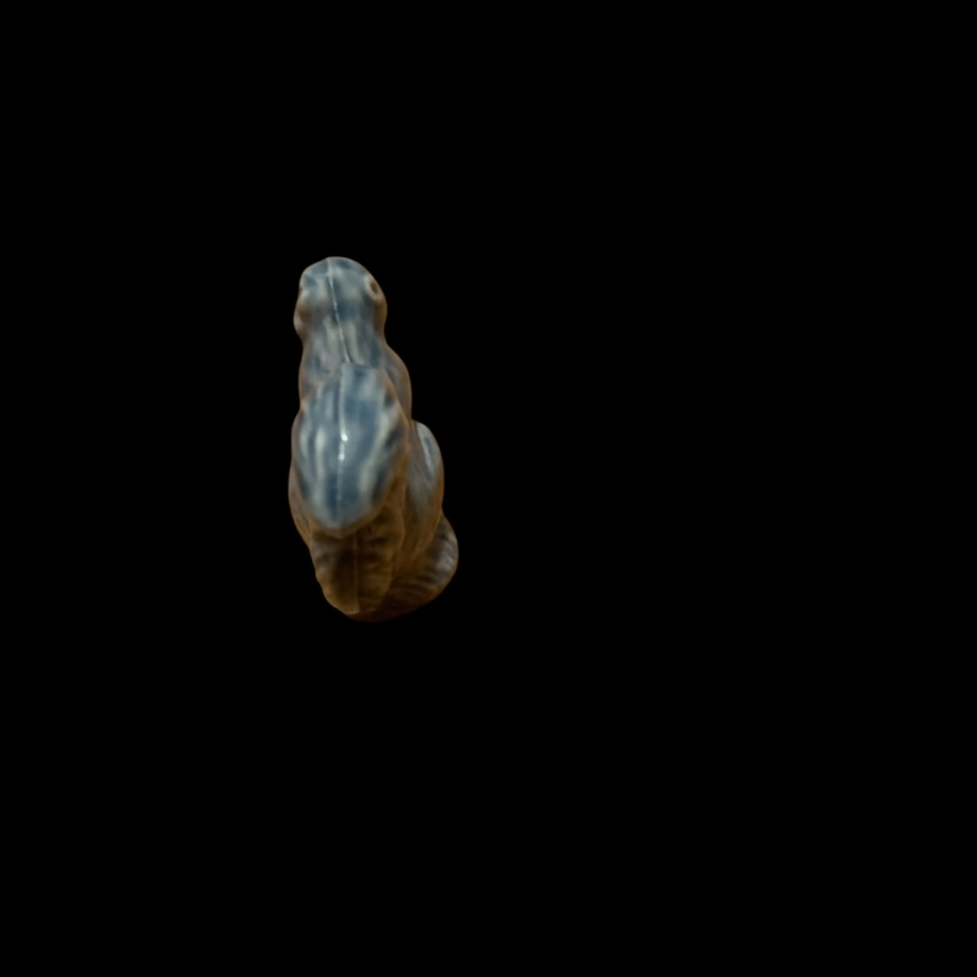 Image 2 of 5
