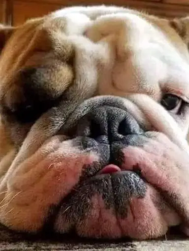 Vintage Action Figure Sale DC Marvel