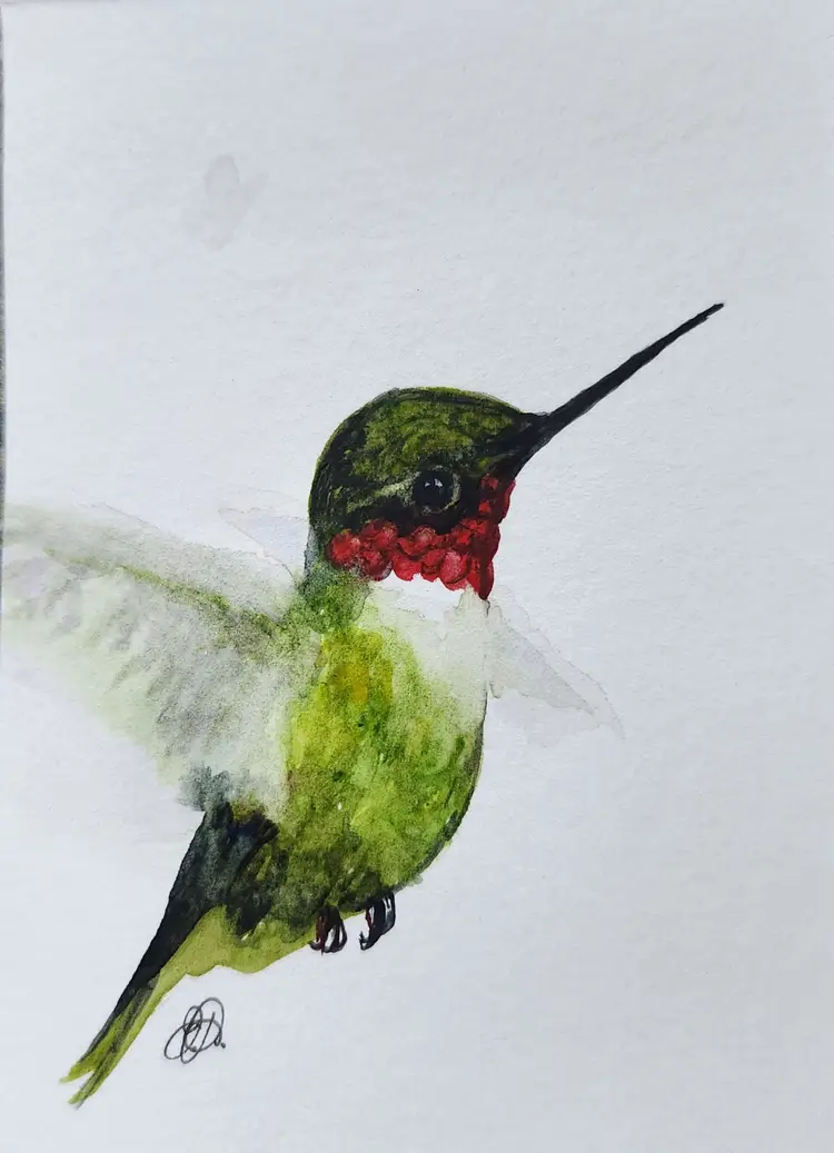 Hummingbird Original Watercolor Painting Signed By The Artist 3x4 Free Shipping