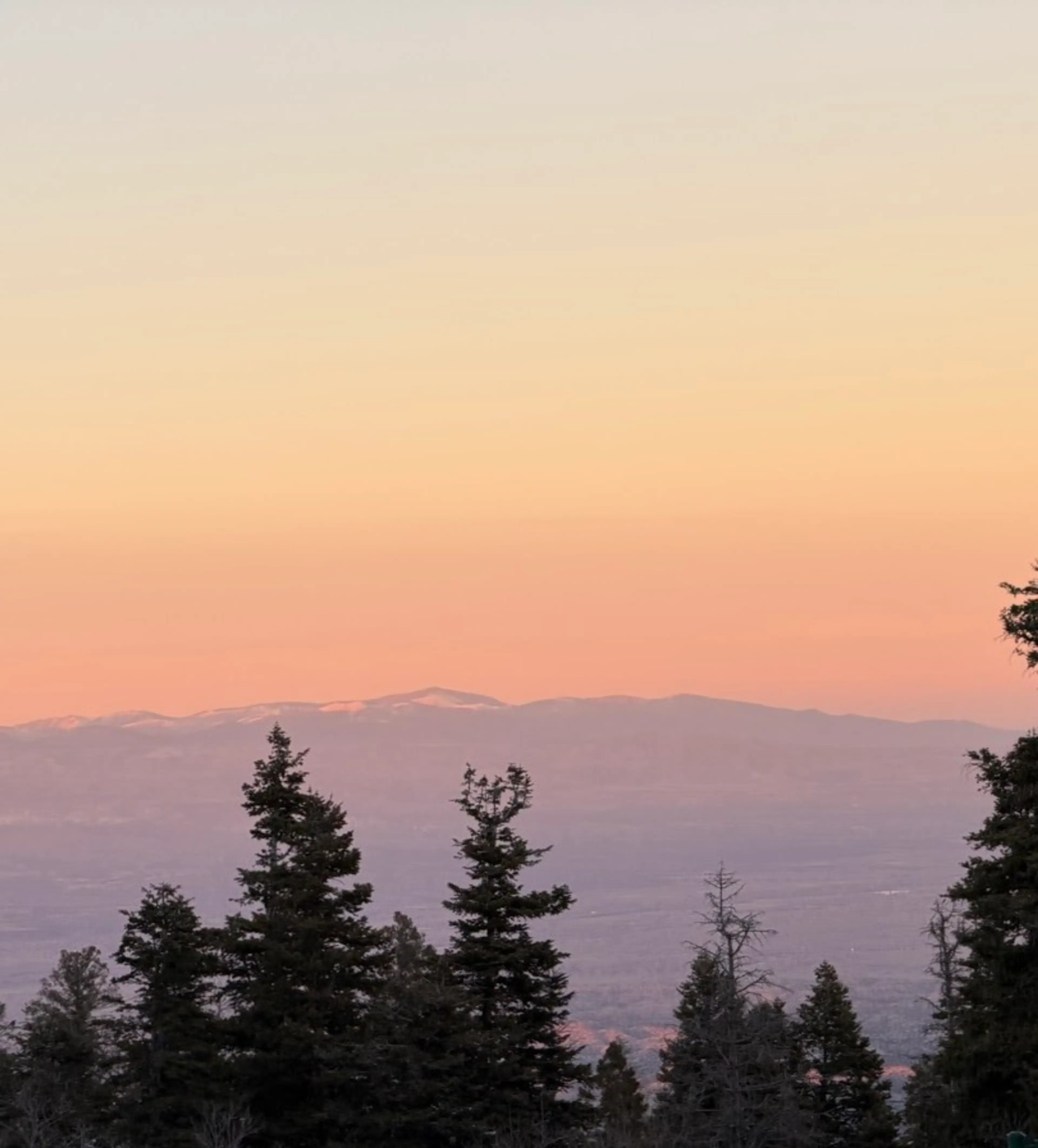 Made Or From Italy, Mexico, Fenton And Russian Boxes 