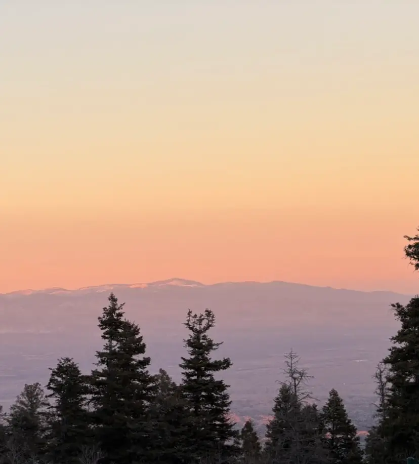 Livestream thumbnail