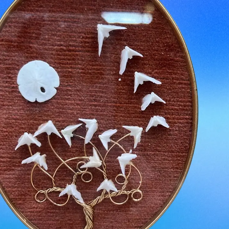 Sea Masters “legend Of The Sand Dollar” Vintage Brass Frame With Sand Dollar Pieces, Original Tag Attached 4x6”