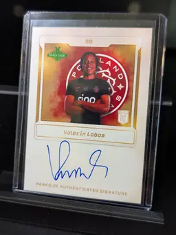 Valerin Loboa RC Auto