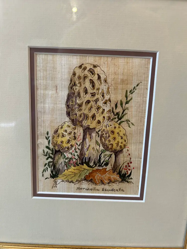 Vintage Mushroom Painting Framed And Signed