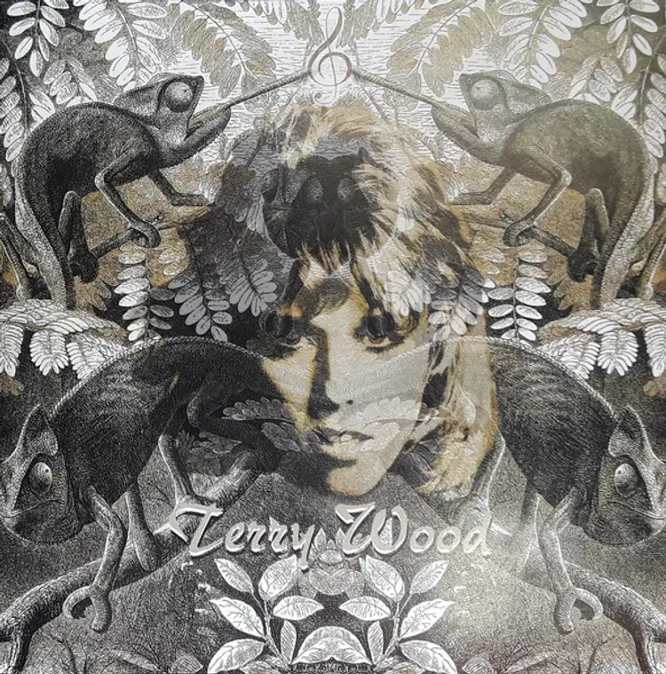 Terry Wood – Terry Wood Terry Wood - Terry Wood album cover More images  Label: Not On Label – none Format: CD, Promo - New Sealed