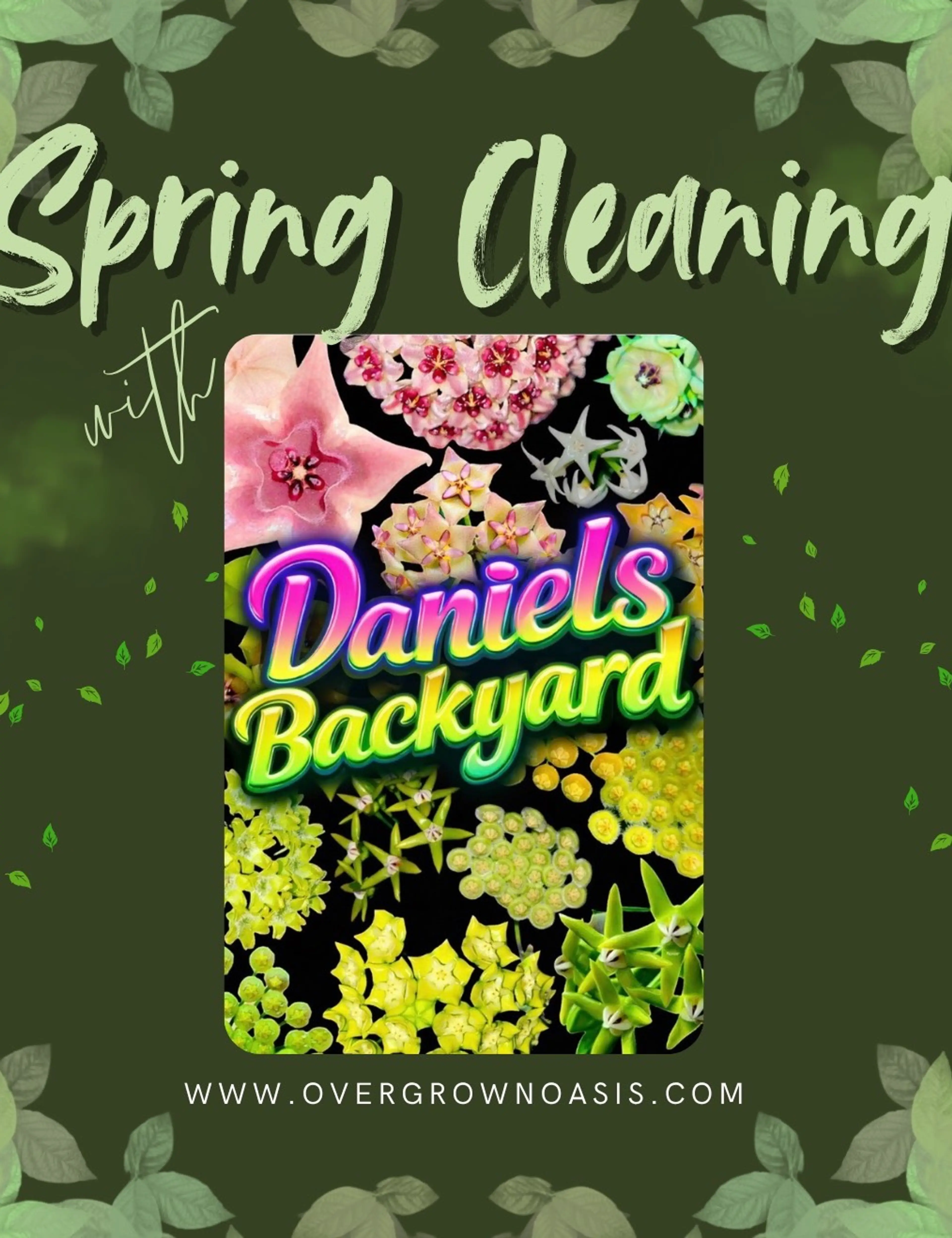 Spring Cleaning 🧹 