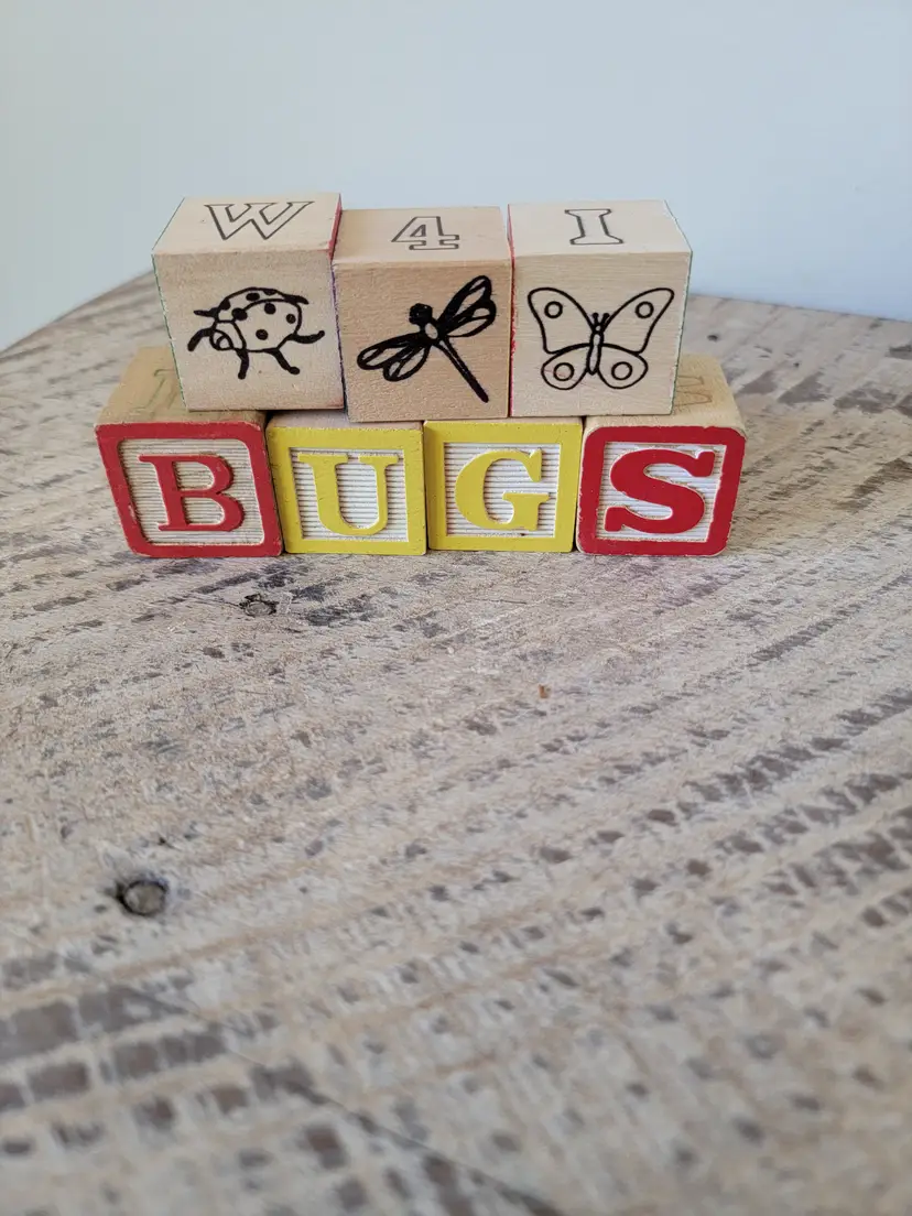 Wood Blocks Spelling: BUGS 🐞🦋