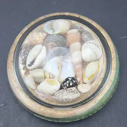 1970’s Seahorse And Shell Paperweight