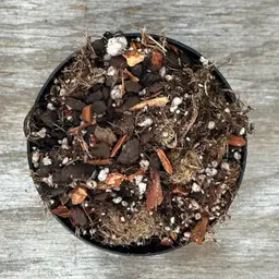 6 Gallons - Substrate - Anthurium Magic #7