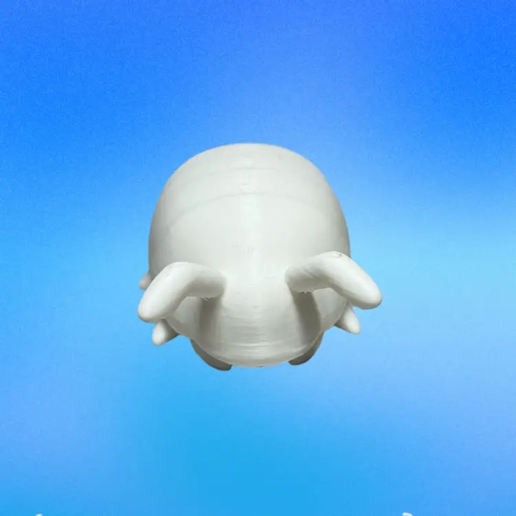 Paint Your Own Beetle 🪲 Measures 3” Long & 2” Wide - Handmade