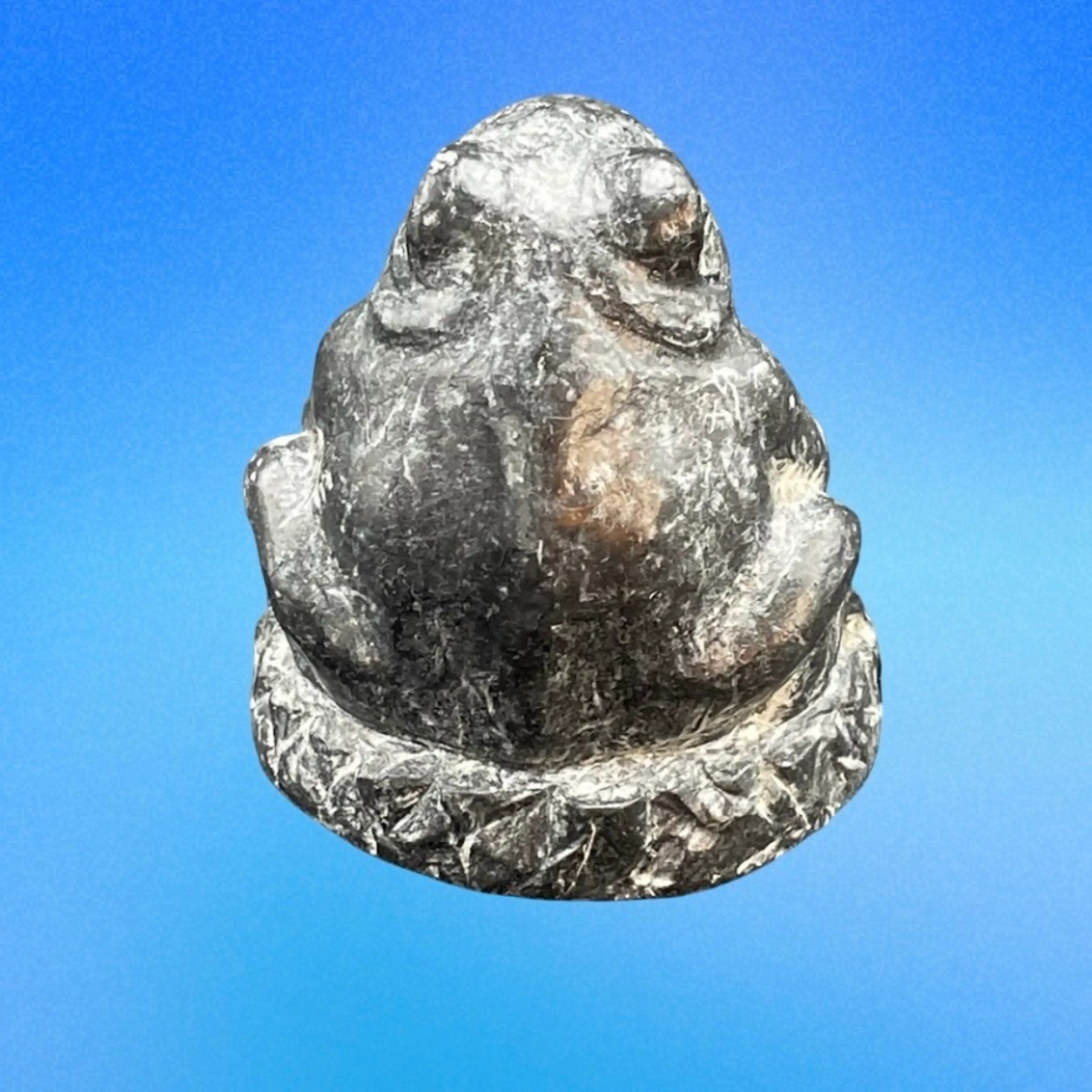 Image 4 of 9